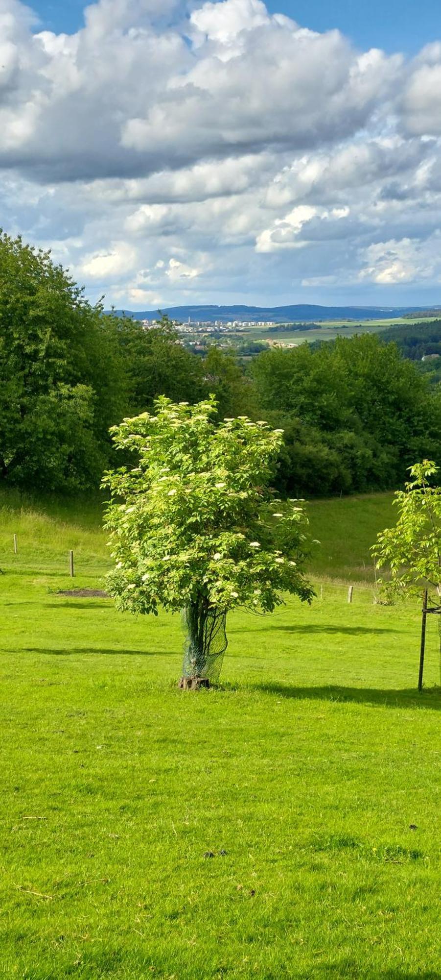 Chata Na Samote, Sumava Vrhavec Buitenkant foto