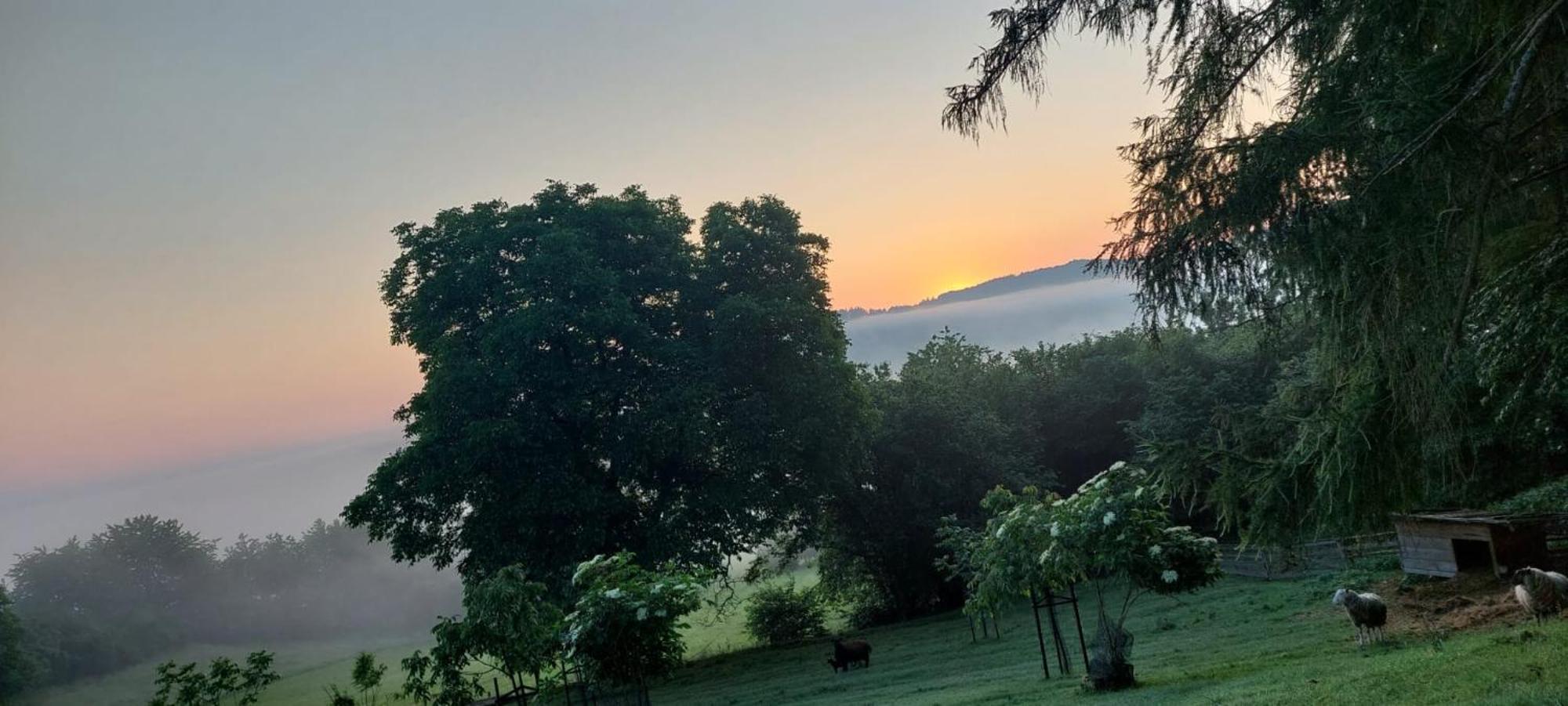 Chata Na Samote, Sumava Vrhavec Buitenkant foto