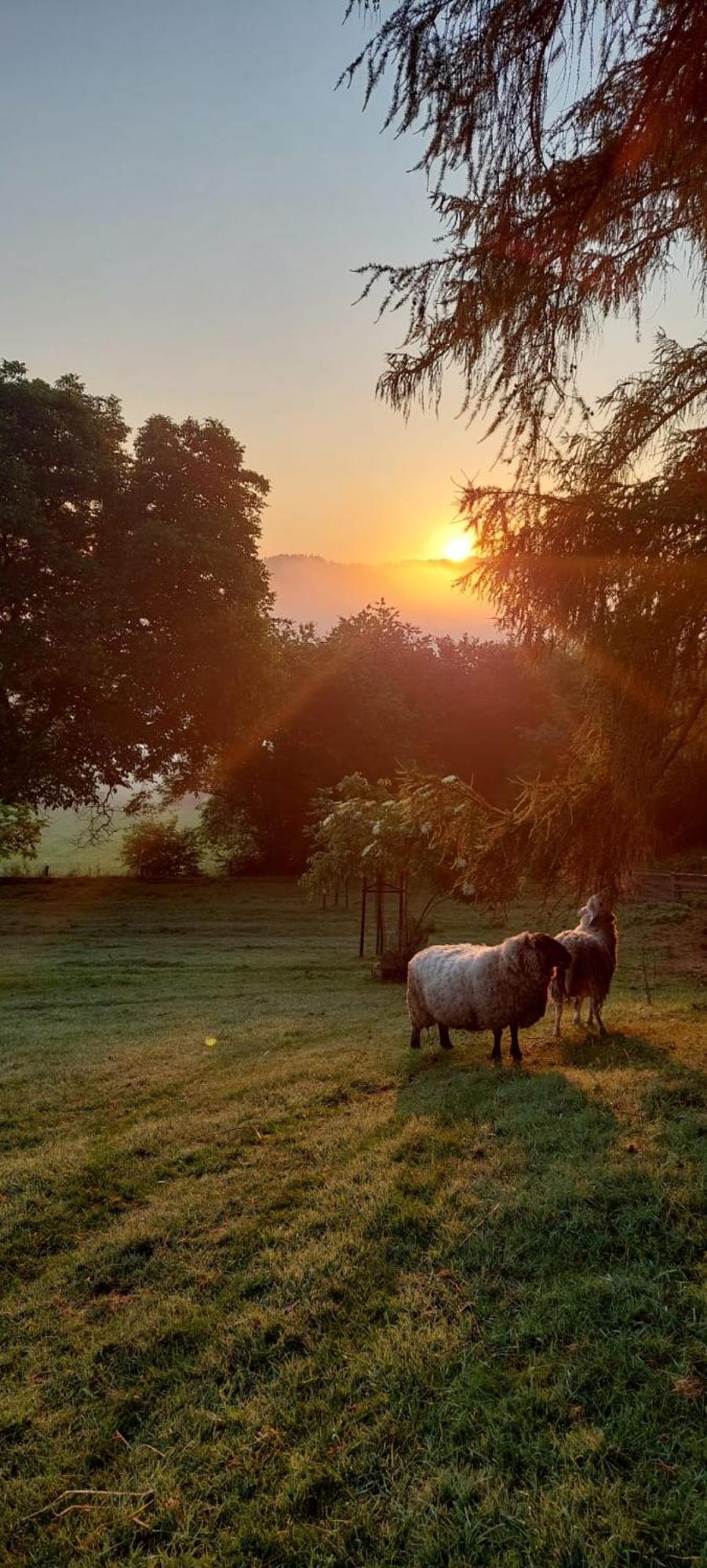Chata Na Samote, Sumava Vrhavec Buitenkant foto