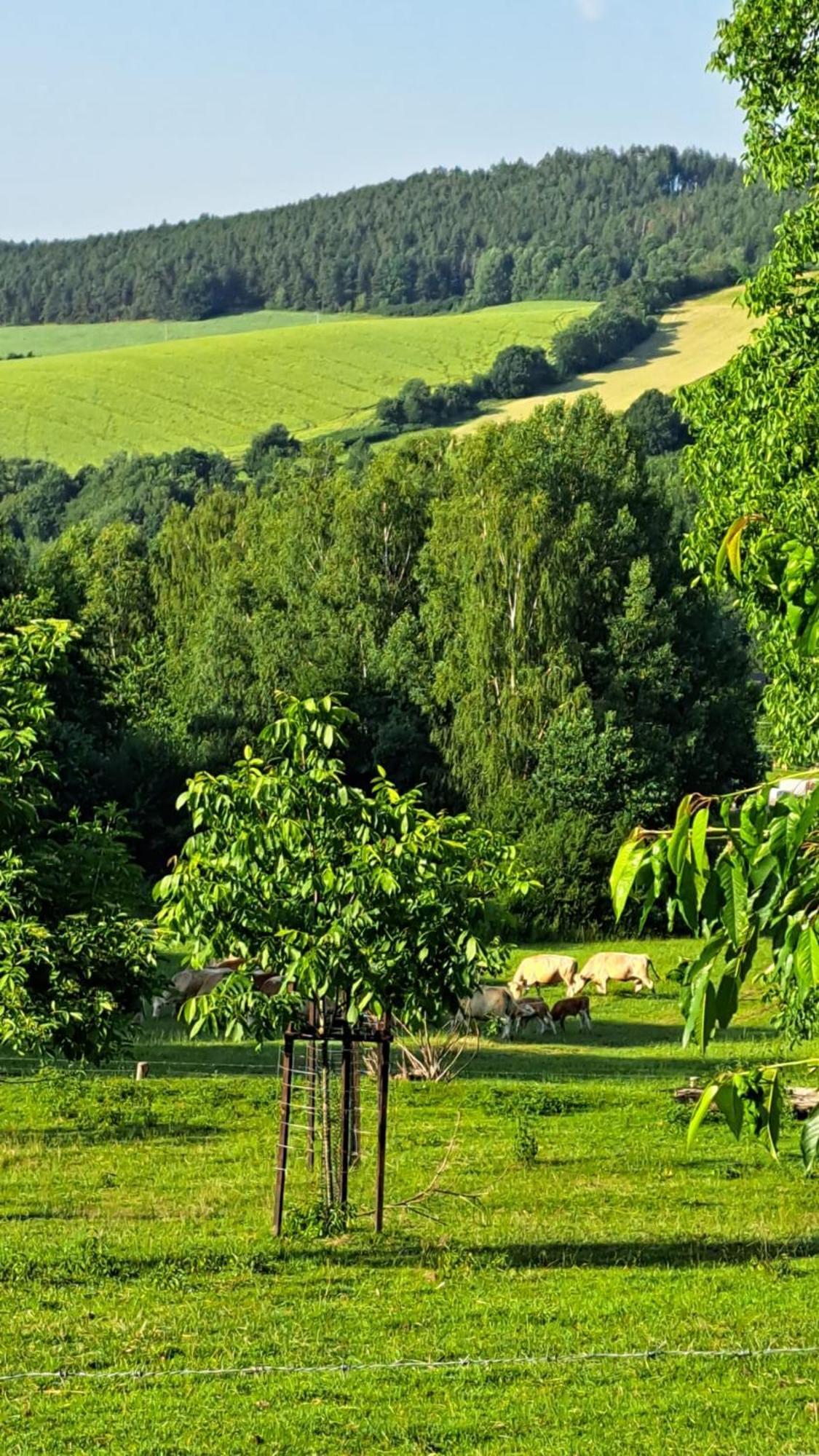 Chata Na Samote, Sumava Vrhavec Buitenkant foto