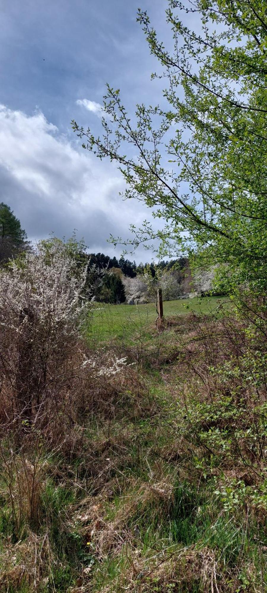 Chata Na Samote, Sumava Vrhavec Buitenkant foto
