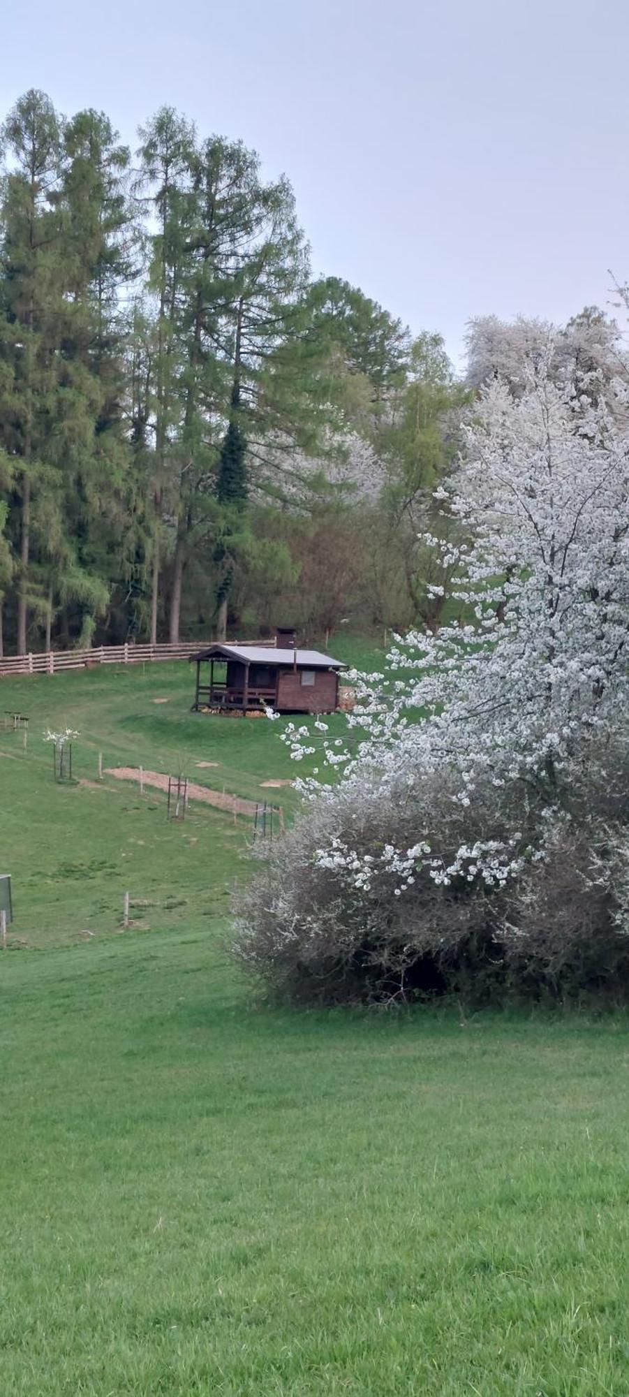 Chata Na Samote, Sumava Vrhavec Buitenkant foto