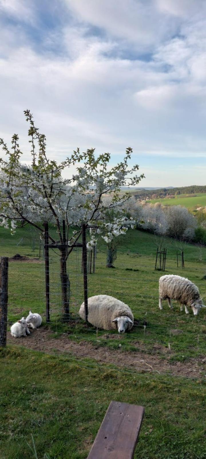 Chata Na Samote, Sumava Vrhavec Buitenkant foto